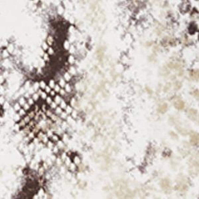 White Multi