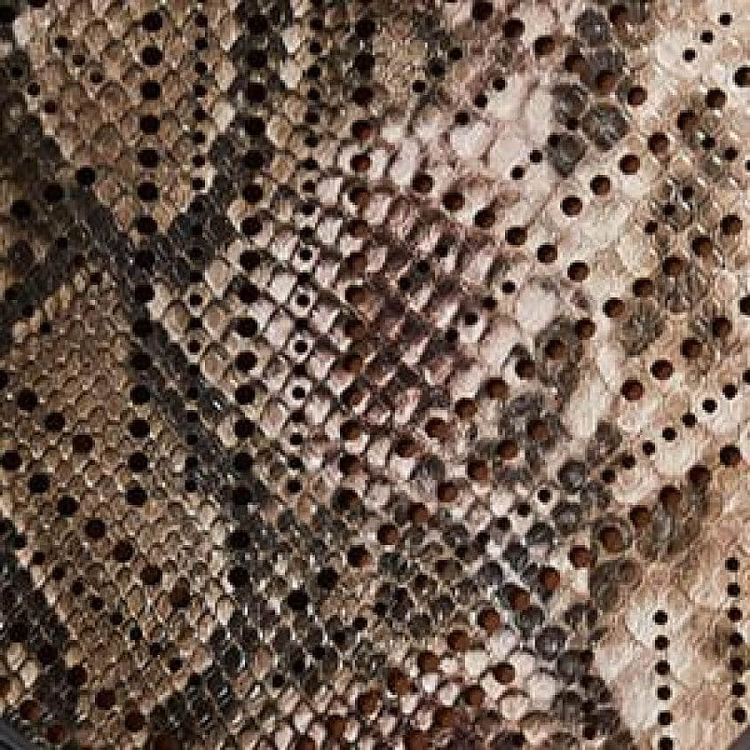 Snakeskin