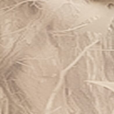 Oak Tree Camo Stretch Swim Trunks thumbnail 7