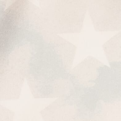 American Pride Stretch Boardshort thumbnail 7