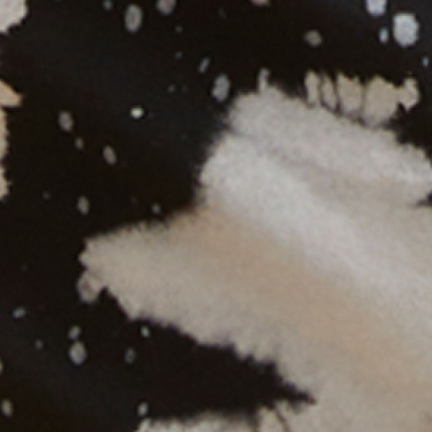 Black Bleach Wash