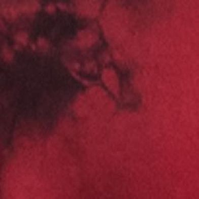 Tango Red Blk Crystal Wsh