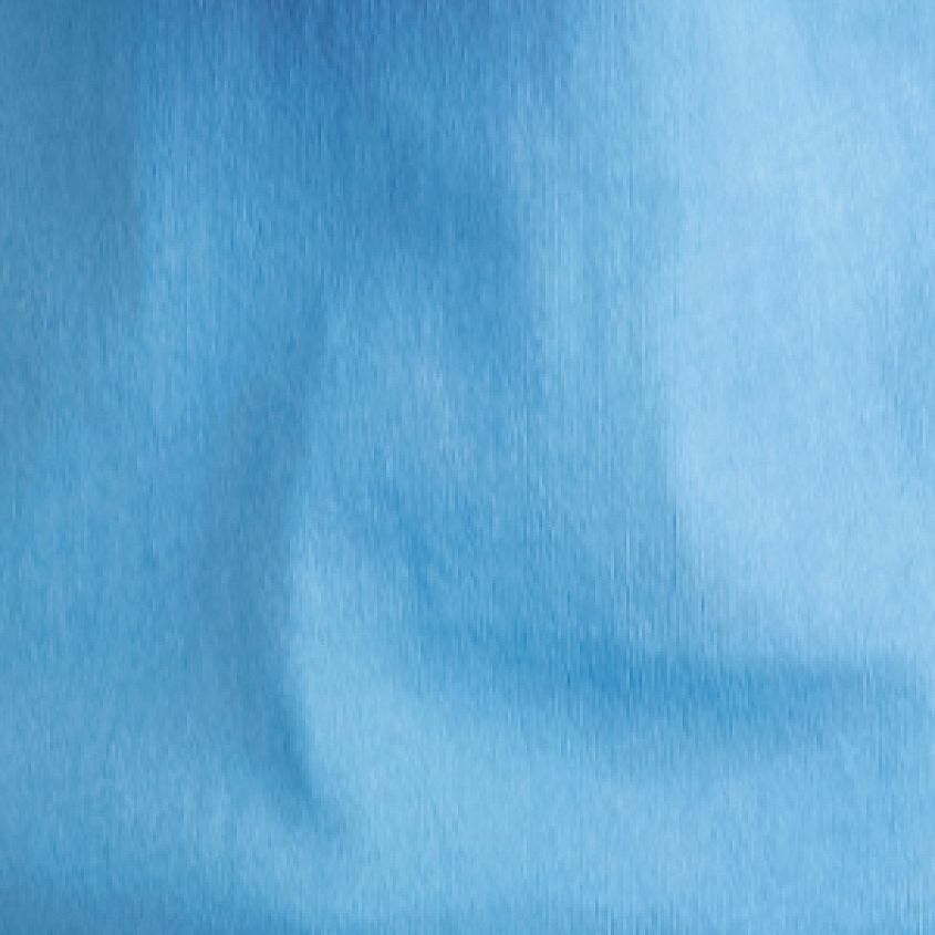 Delphinium Blue Hvy Lava