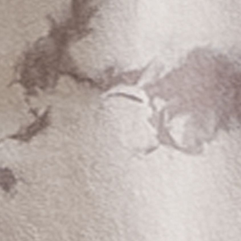 Silver Tea Stain