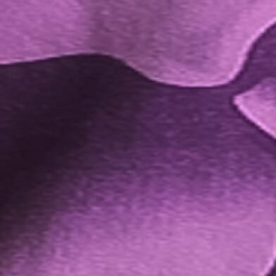 Violet Pigment Dye