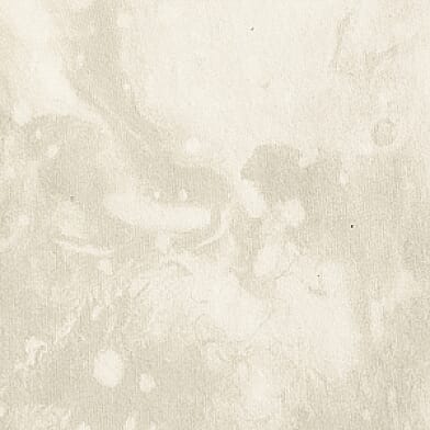 Antique White