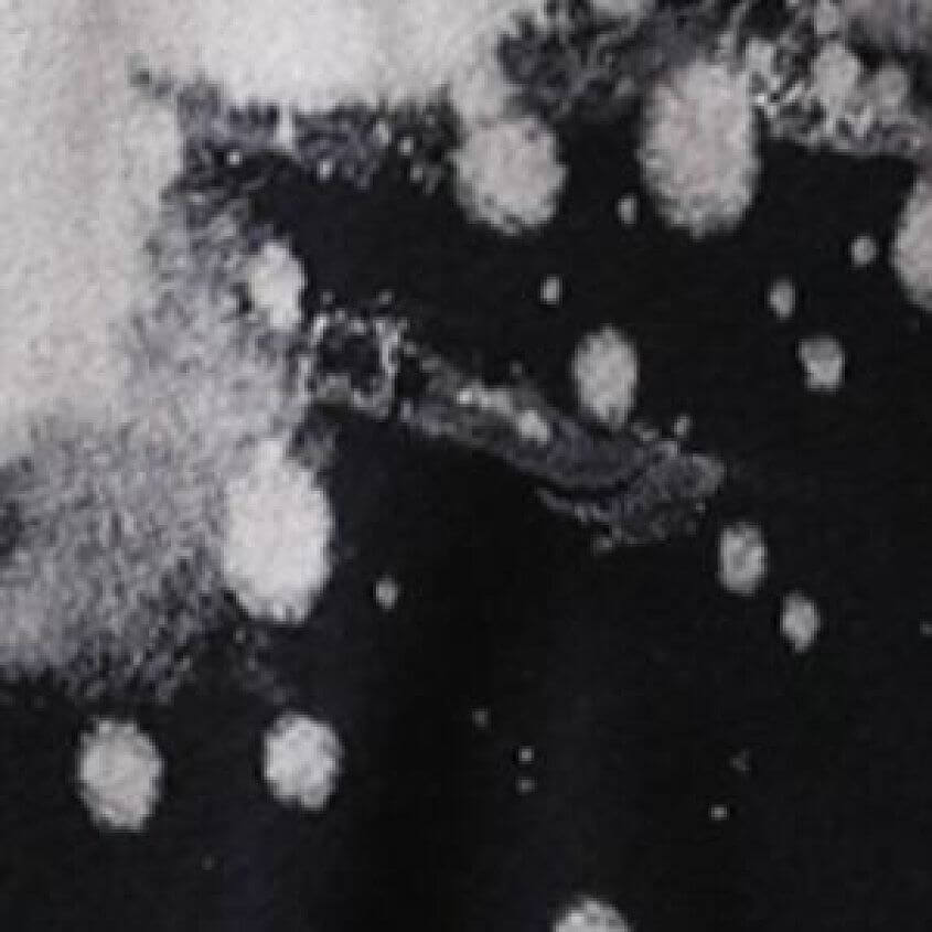 Black Bleach Wash