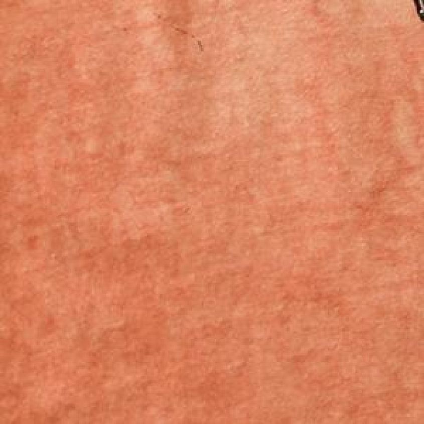 Cafe Creme Oil Stain Wash