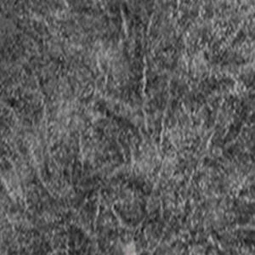 Black White Lava Tint