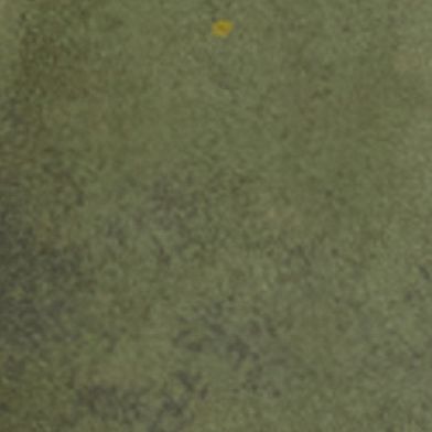 Olive Pigment Dye