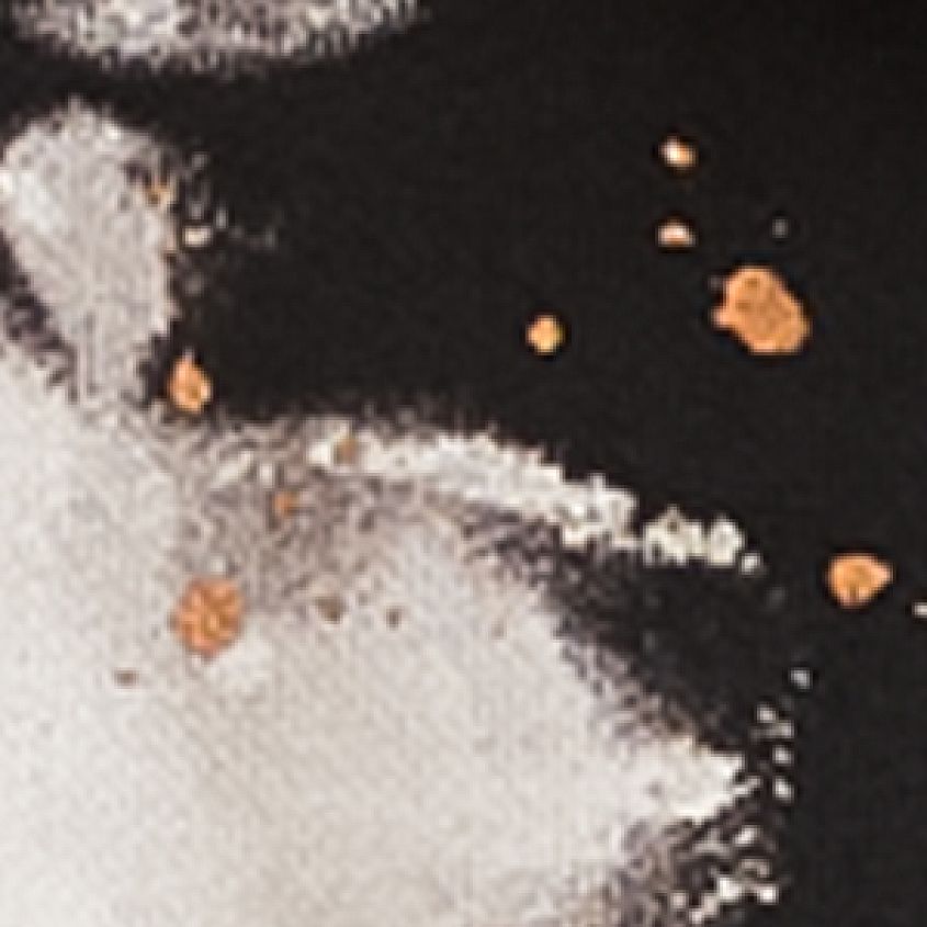 Black White Bleach Wash