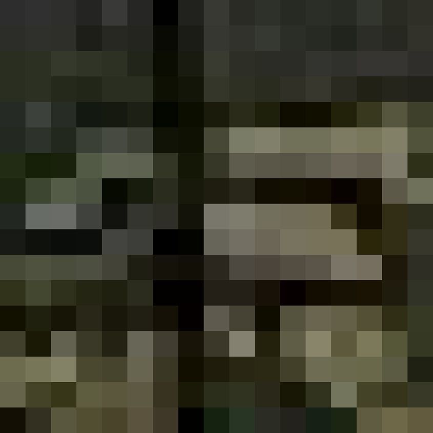 Camo