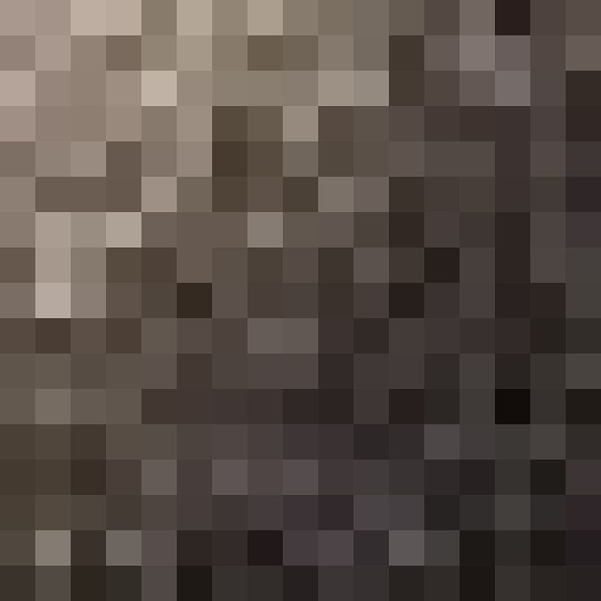 Black Tan Lava Tint