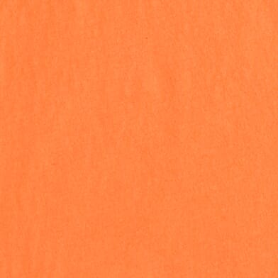 Neon Orange
