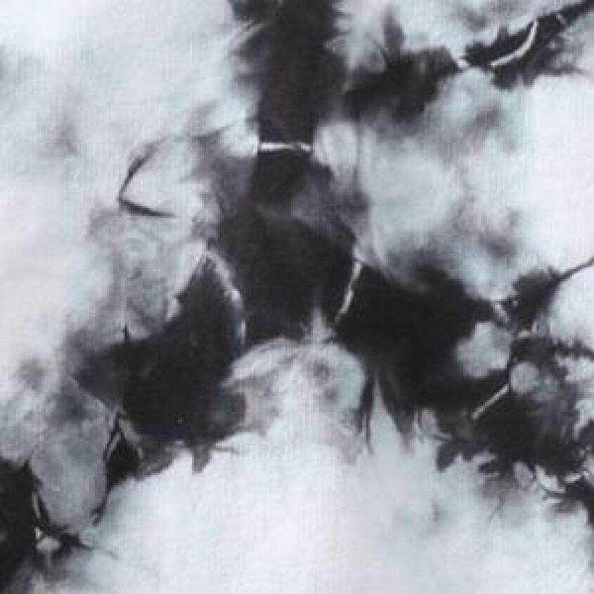 White Black Champ Wash