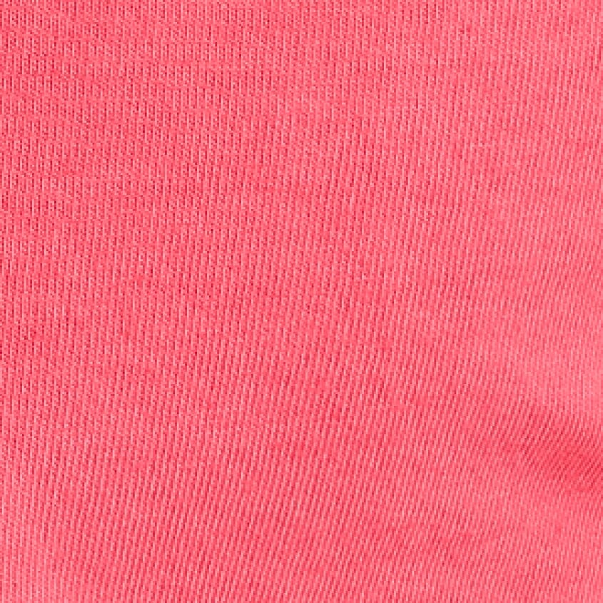 Neon Flamingo Pink