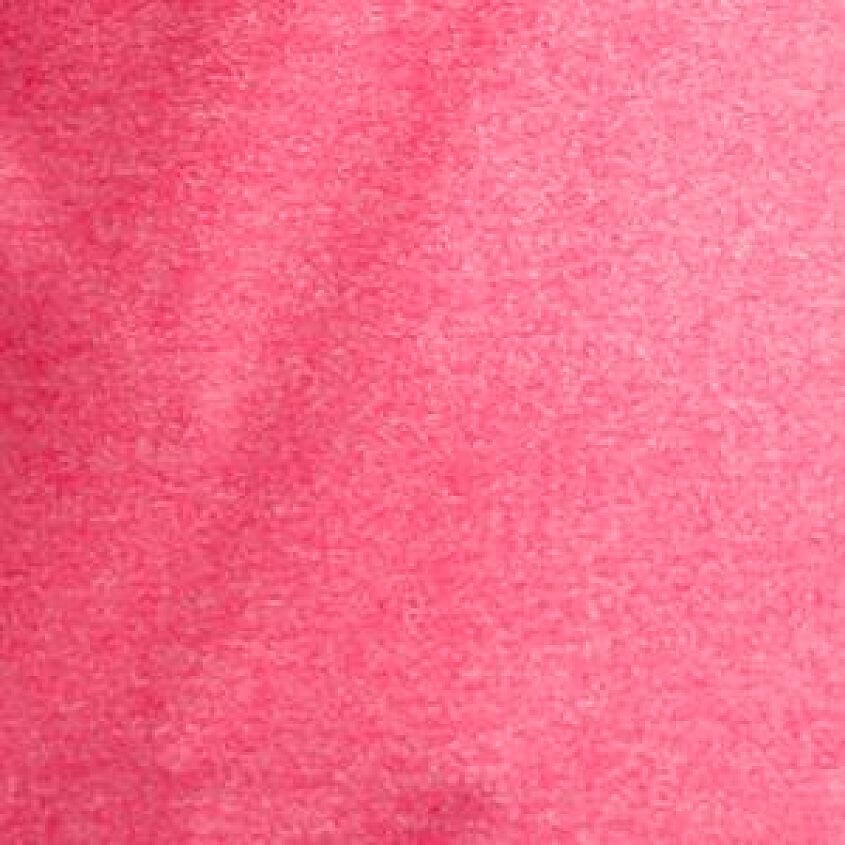 Neon Flamingo White