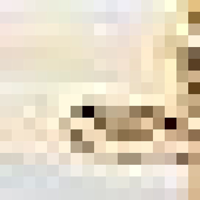 Cream Gold