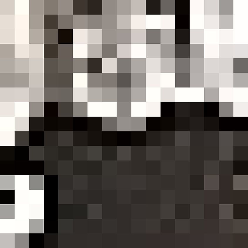 Silver Black