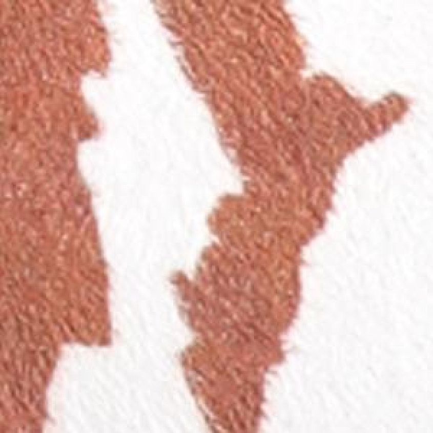 Brown White Cow
