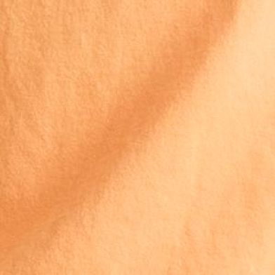 Muted Orange