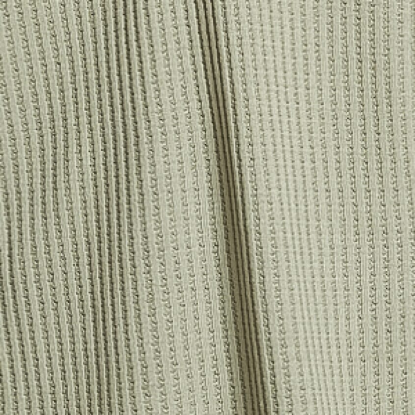 Seagrass