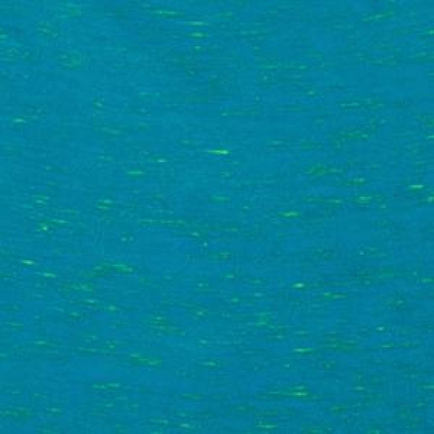 Teal Neon Yellow