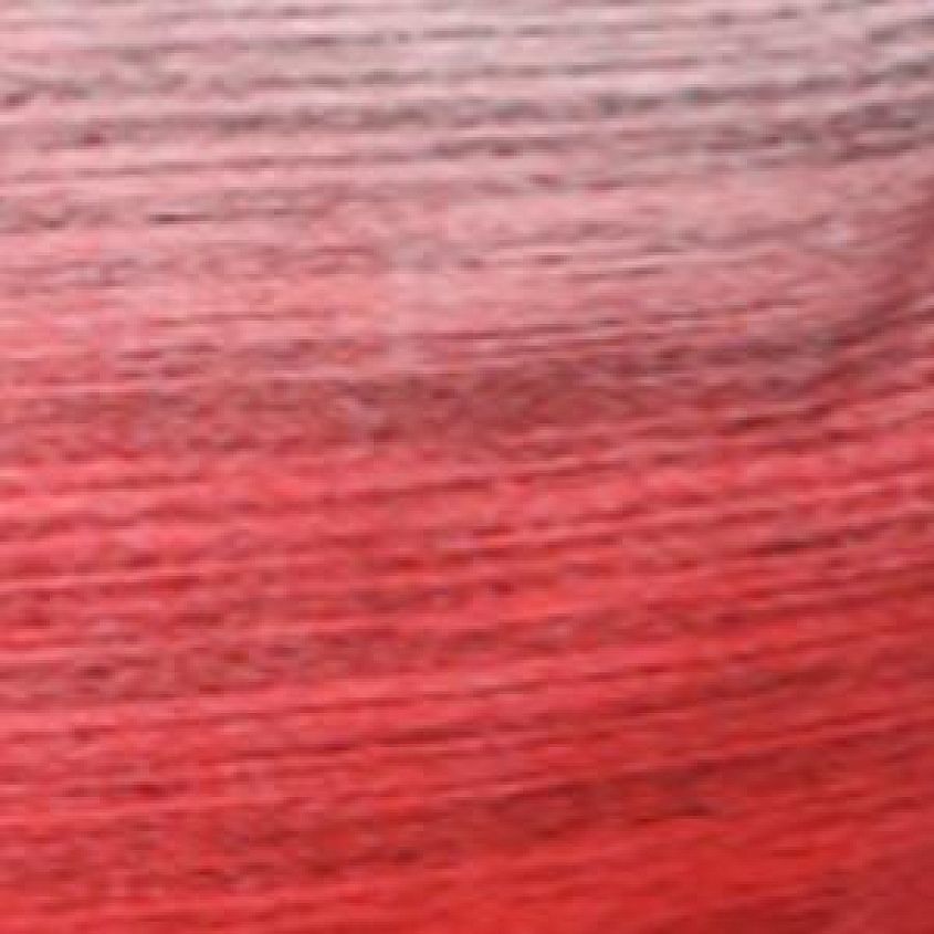 Black Red