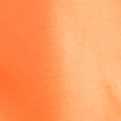Neon Orange