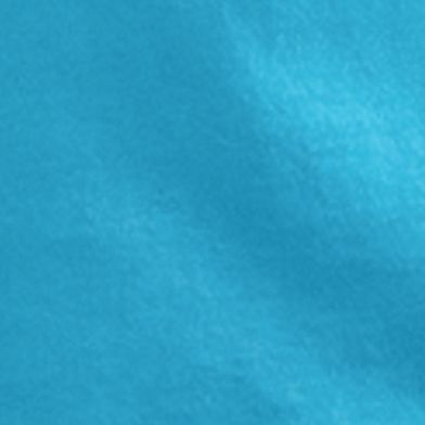 Blue Bird