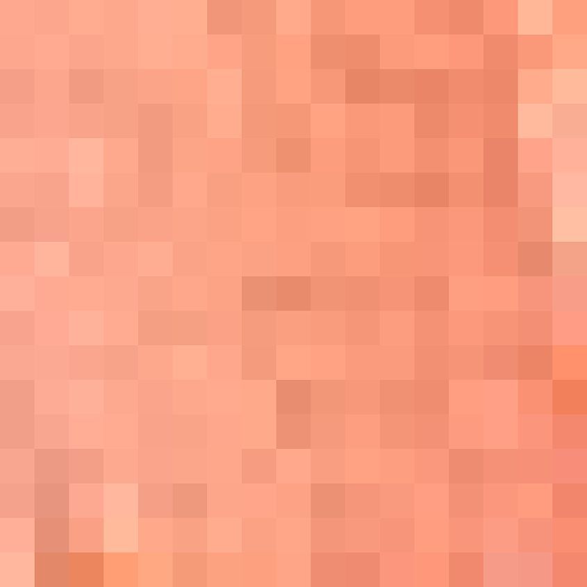 Neon Orange