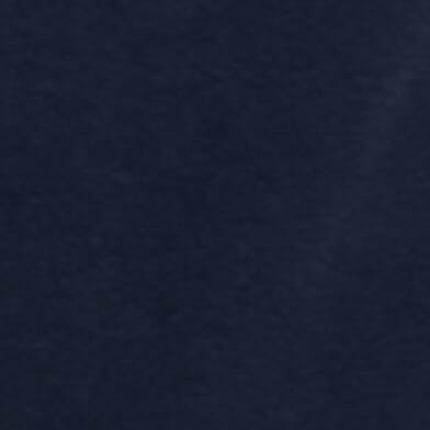 Brighton T-Shirt thumbnail 4