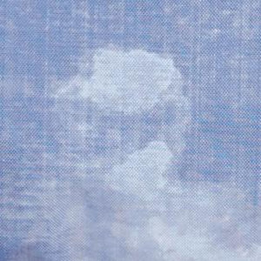 Bleach Linen