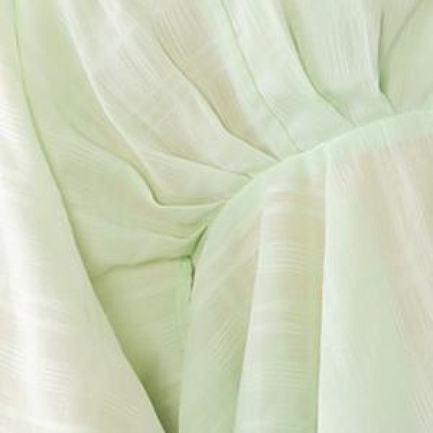 Bok Choy