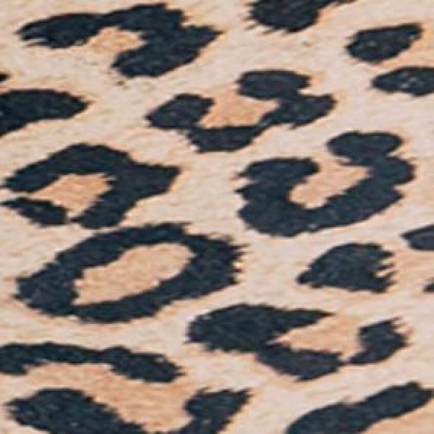 Tan Leopard
