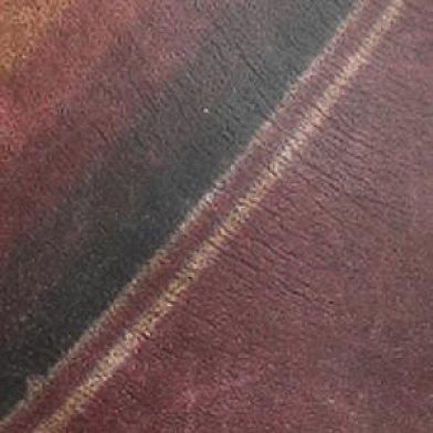 Saddle Blanket