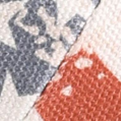 Distressed Flag