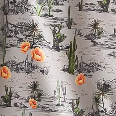 Dove Desert Scape