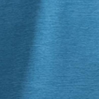 Eurasian Teal