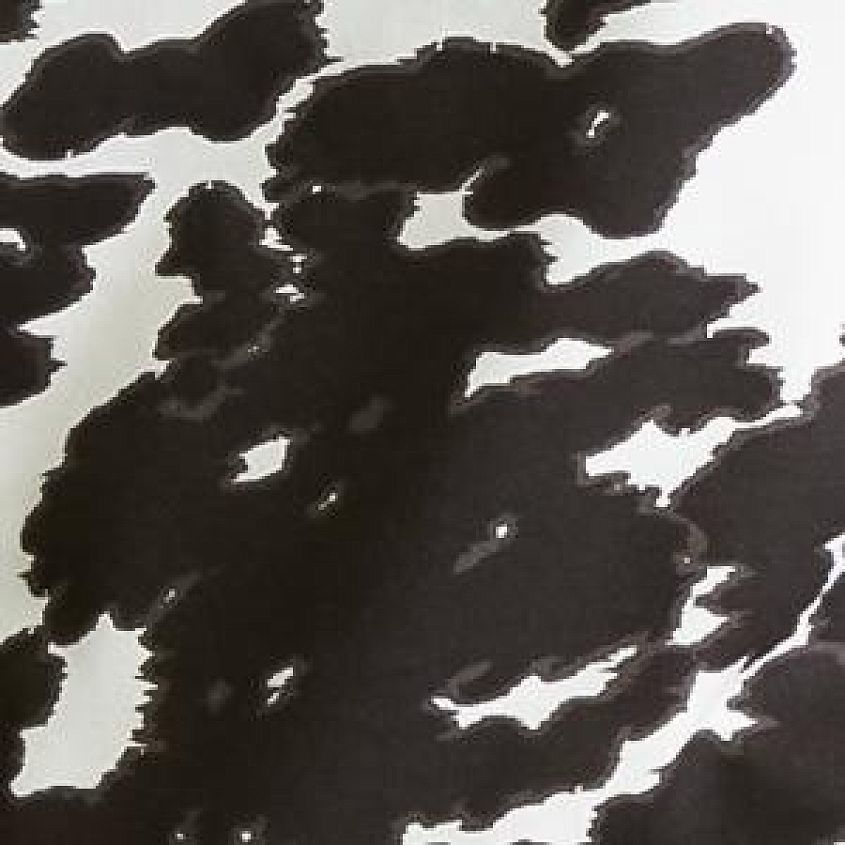 Holstein Cow Print