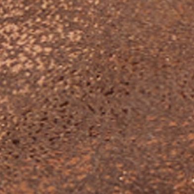 Metallic Bronze Aztec Bla