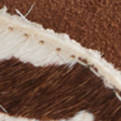 Ginger Suede Cow