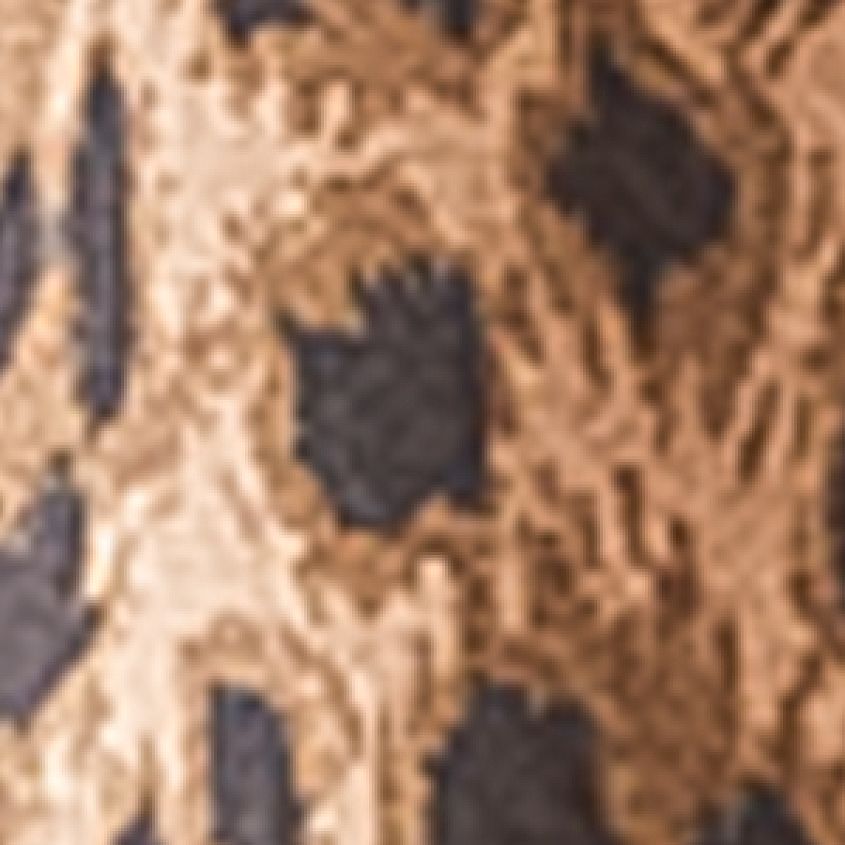 Lila Leopard