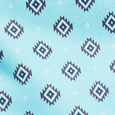 Aruba Blue Print