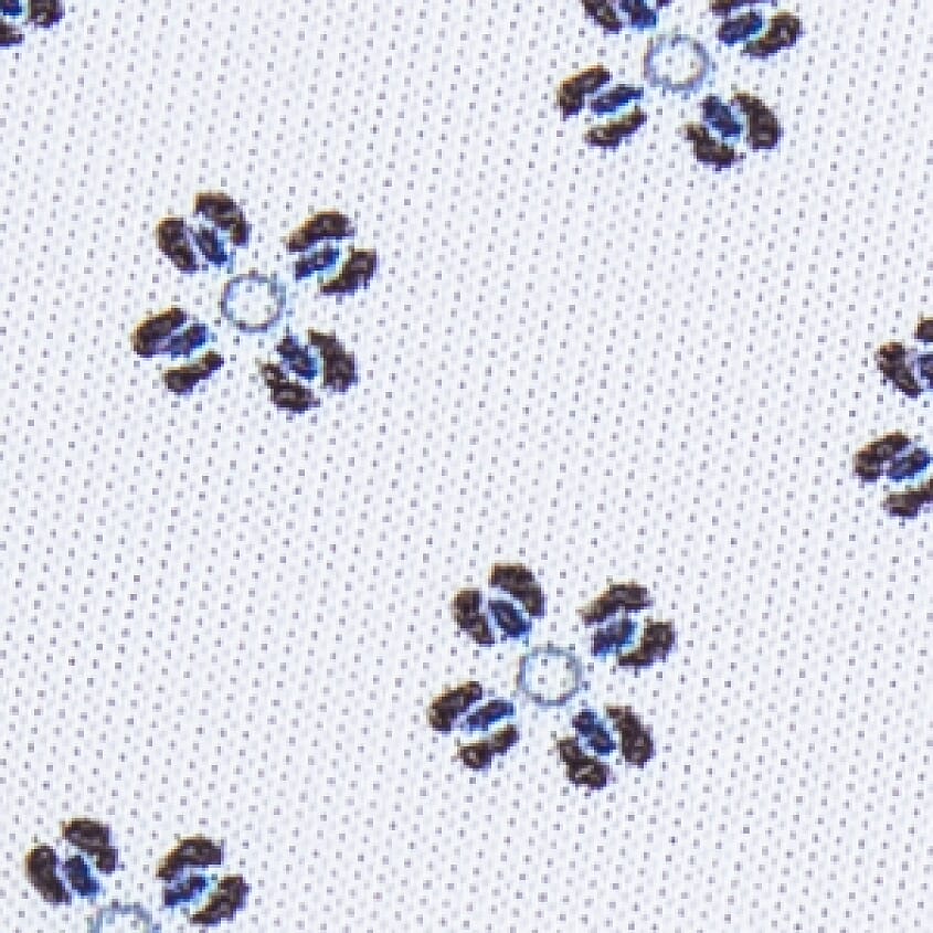 White Geo Print