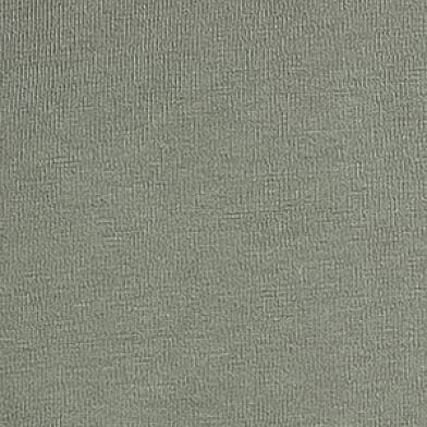 Castor Grey