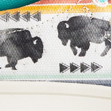 Buffalo Print