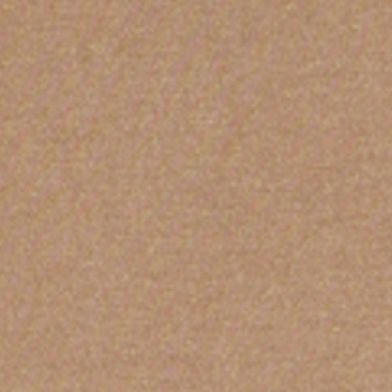 Brown Savana