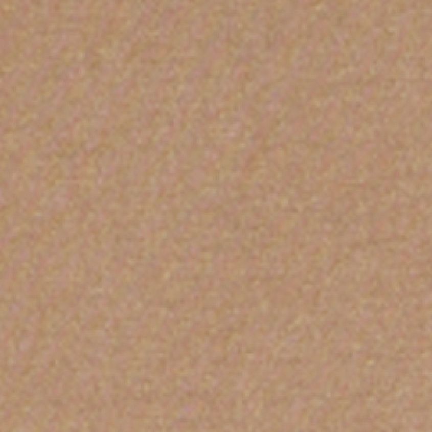 Brown Savana