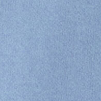 Coronet Blue